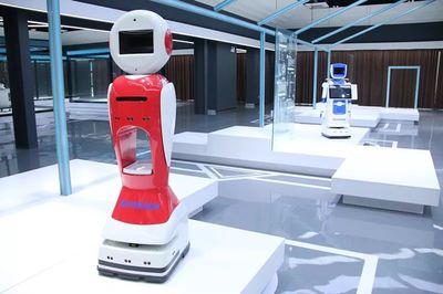 工業機器人迎來“阜陽造”新紀元 正式投產引領智能機器人研發新浪潮